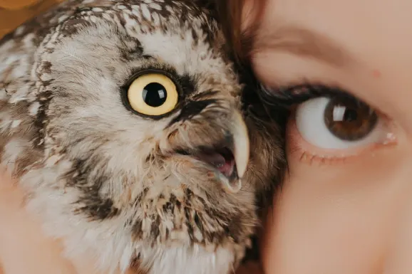 Betitall Kasino Sokongan